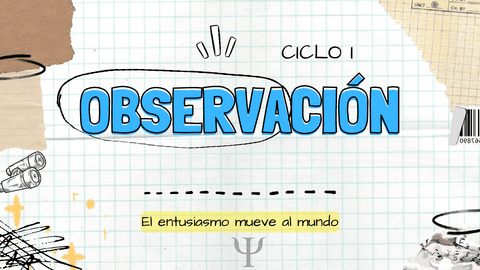 OBSERVACION.pdf