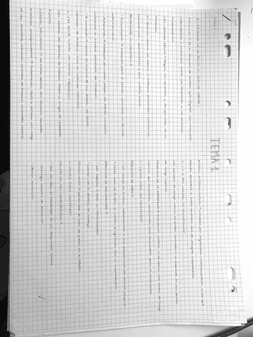 Tema-1-Normas-laborales-y-derecho-laboral.pdf