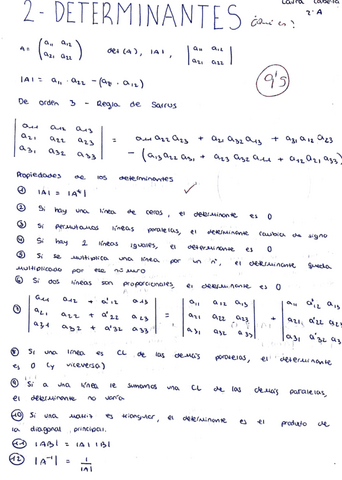 2.-Determinantes.pdf