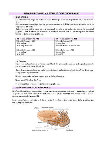TEMA-9-RIBOSOMAS-Y-ENDOMEMBRANAS.pdf