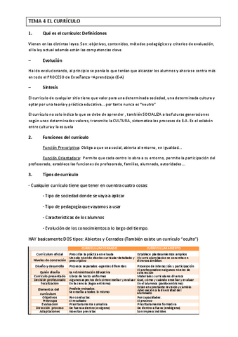Resumen-didactica-T4.pdf