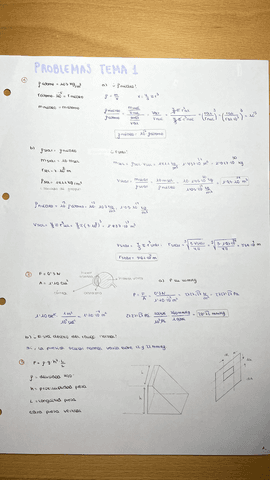 Ejs-Fisica-Tema-1.pdf