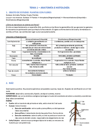 Tema-1.-Apuntes.pdf