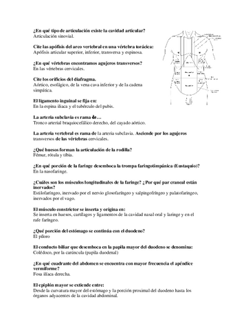 Banco de preguntas anatomía.pdf