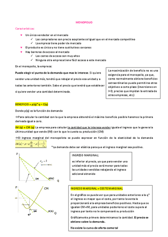 apuntes-micro-3er-examen.pdf