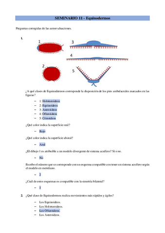 Eval-Seminario-11Equinodermos.pdf