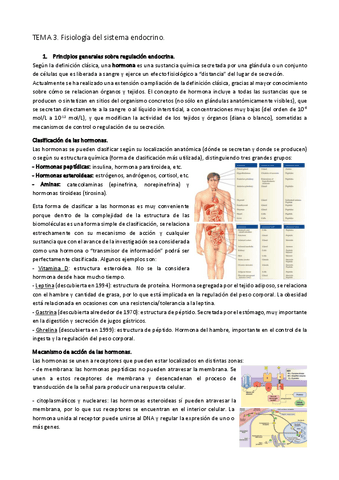 TEMA-3.-Fisiologia-del-sistema-endocrino.pdf