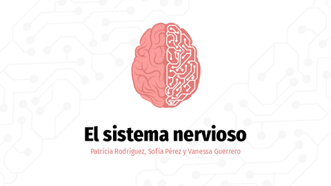 Sistema-nervioso.pdf