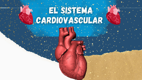 El-sistema-cardiovascular.pdf