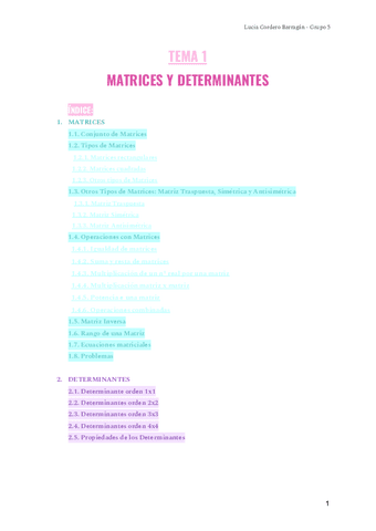 TEMA-1.pdf