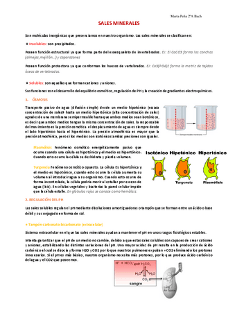 Tema-3.-Sales-minerales.pdf
