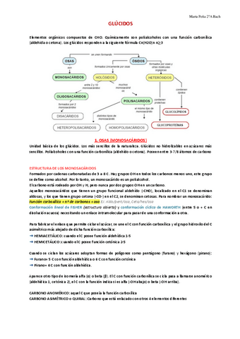 Tema-4.-Glucidos.pdf