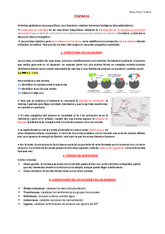 Tema-7.-Enzimas.pdf