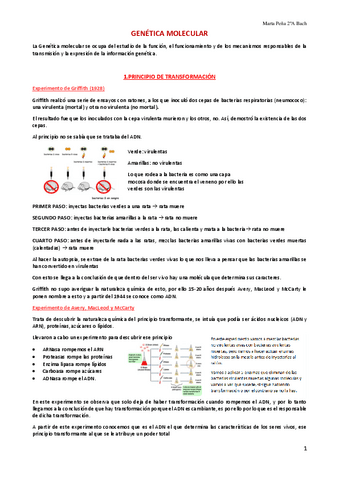 Tema-13.-Genetica-molecular.pdf