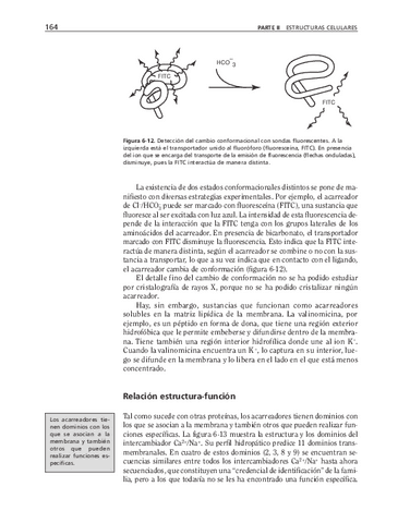 biologia-celular-y-molecular-52.pdf