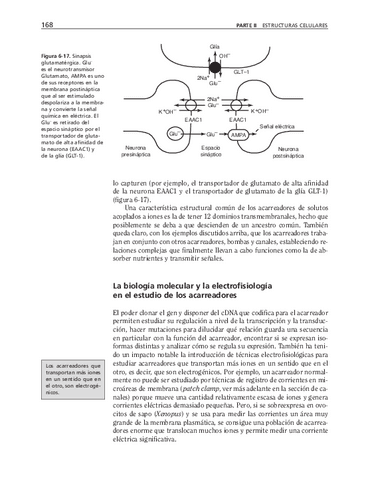 biologia-celular-y-molecular-53.pdf