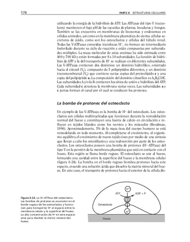 biologia-celular-y-molecular-55.pdf