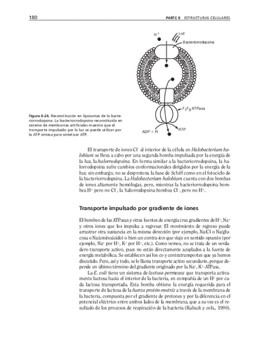 biologia-celular-y-molecular-56.pdf