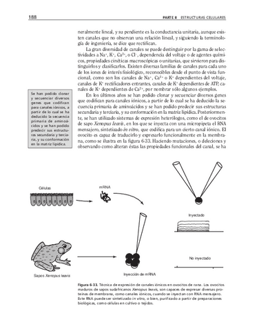 biologia-celular-y-molecular-58.pdf