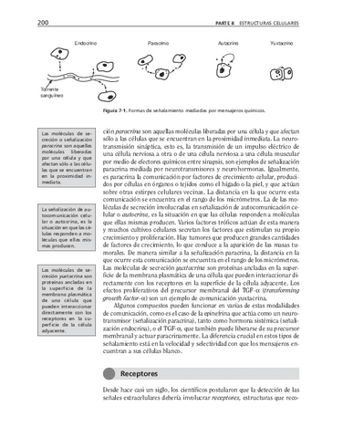 biologia-celular-y-molecular-61.pdf