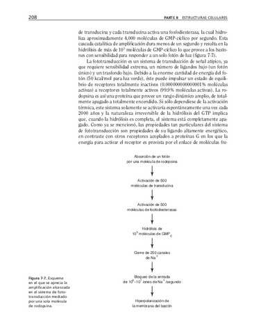 biologia-celular-y-molecular-63.pdf