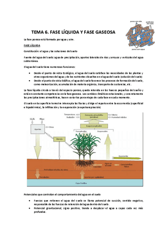 TEMA-6-edafologia.pdf