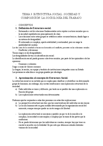 TEMA-3-SOCIOLOGÍA.pdf