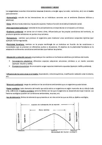 Resumen-Parcial-1.pdf