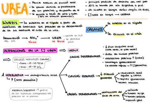ESQUEMAS-METABOLITOS.pdf