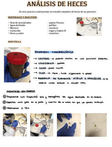 Practica-heces..pdf