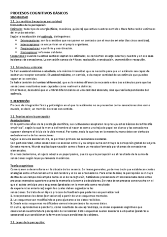 procesos-cognitivos-basicos.pdf