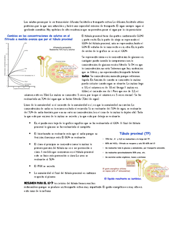 clase-tecnologia-tema-11.pdf