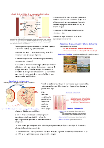clase-tecnologia-tema-15.pdf