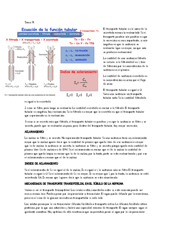 apuntes-clase-tema-1.pdf