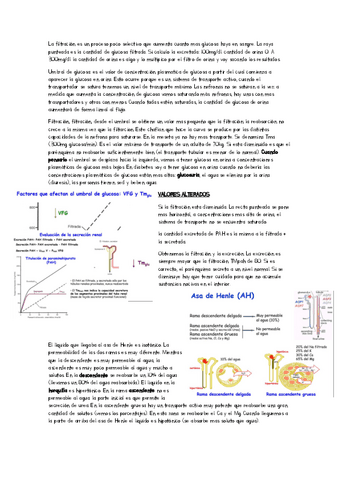 apuntes-clase-tema-9.pdf