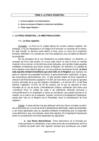 TEMA-2.pdf