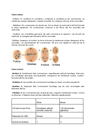 apuntes-biologia-tema-1.pdf