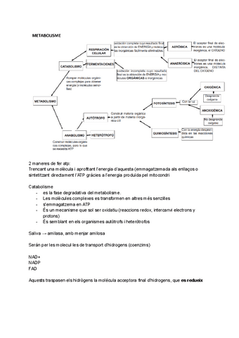 Apuntes-biologia-tema-2.pdf