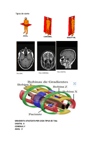 BOBINES-DE-GRADIENT-I-SELECCIO-PELS-DIFERENTS-TALLS.pdf