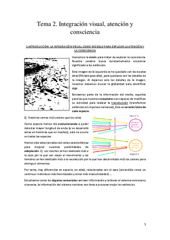 Tema-2-Pilar-Herreros.pdf