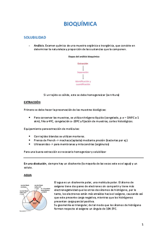 Apuntes BIOQUÍMICA.pdf