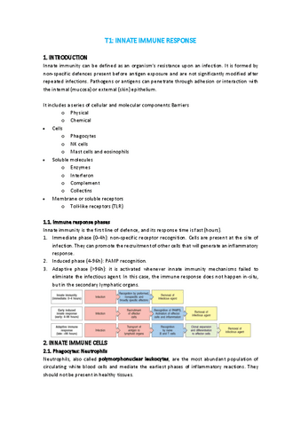 T1-IMI.pdf