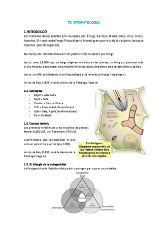T3-MAP.pdf