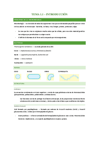 Introduccion.pdf