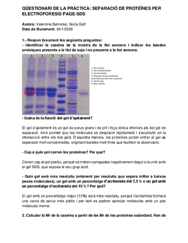 Copia-de-QUESTIONARI-GEL-SDS-1.pdf