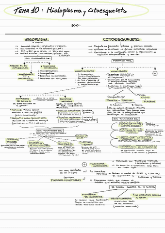Esquema-bio-tema-10-230131221109.pdf