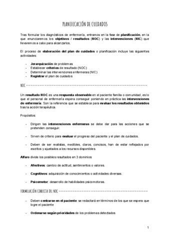 Plan-de-cuidados.pdf