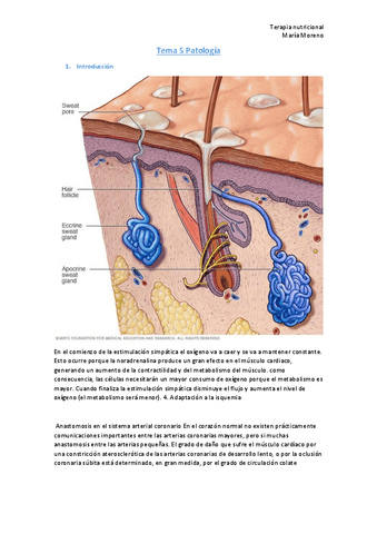 Tema-5-Patologia.pdf