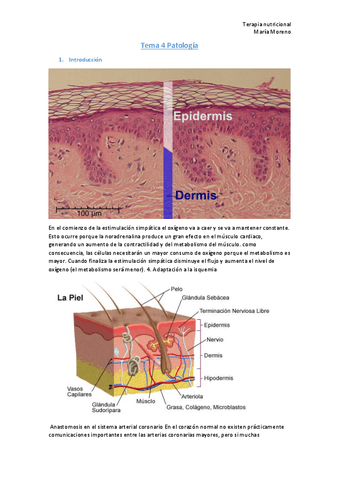 Tema-4-Patologia.pdf
