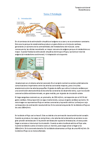 Tema-7-Patologia.pdf